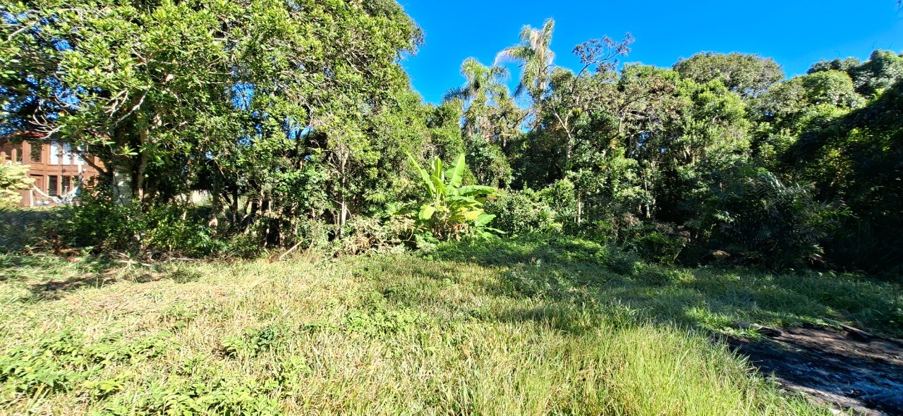 Terreno, 360 m² - Foto 4