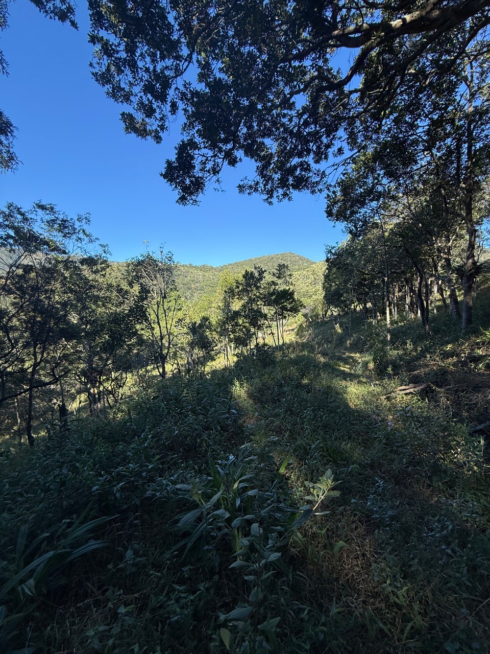 Terreno, 4400 m² - Foto 27