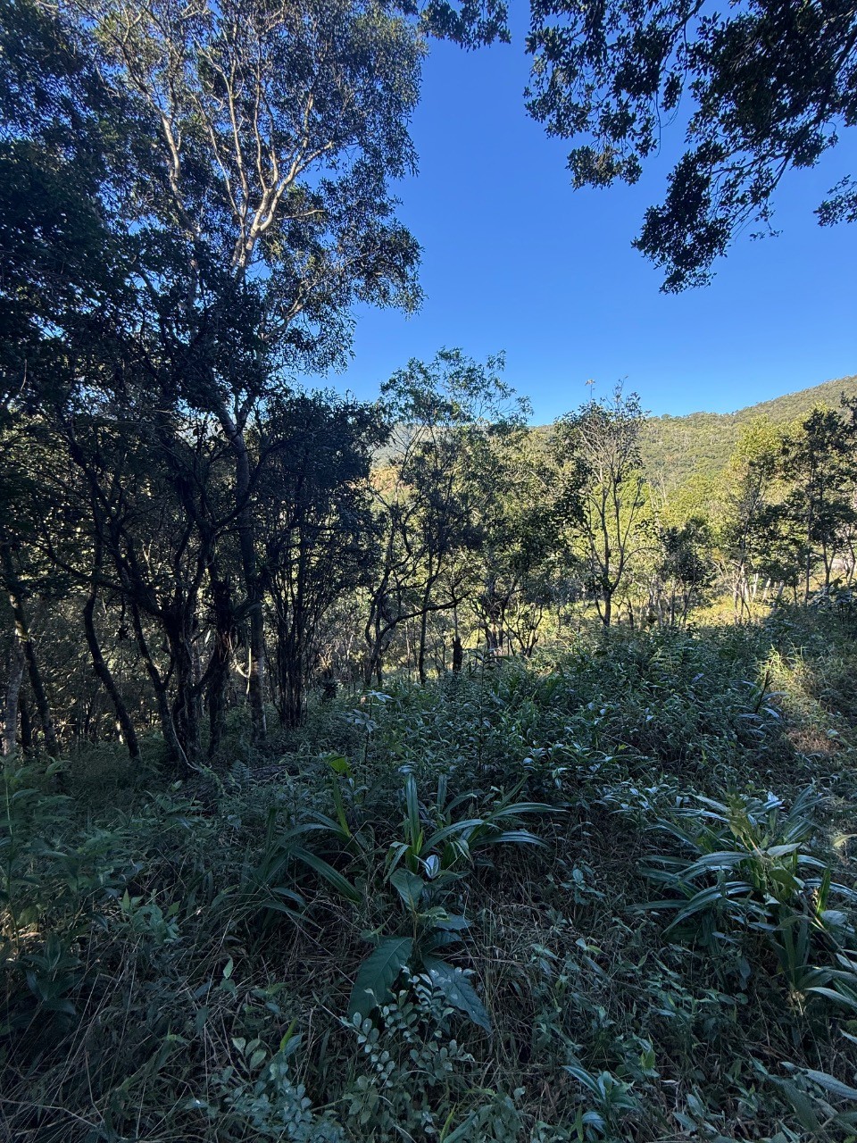 Terreno, 4400 m² - Foto 26