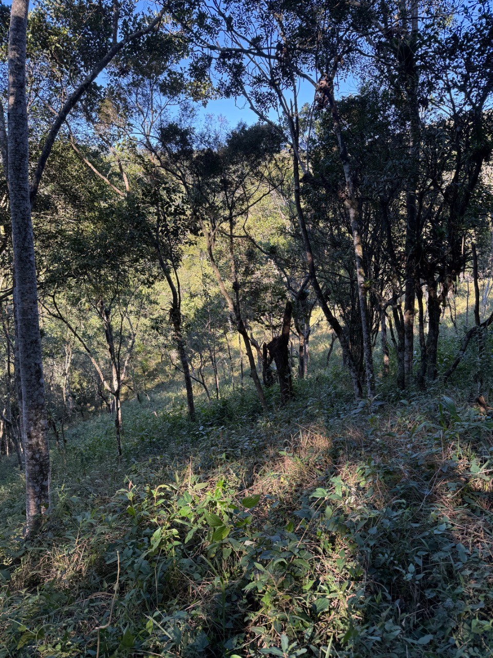 Terreno, 4400 m² - Foto 18