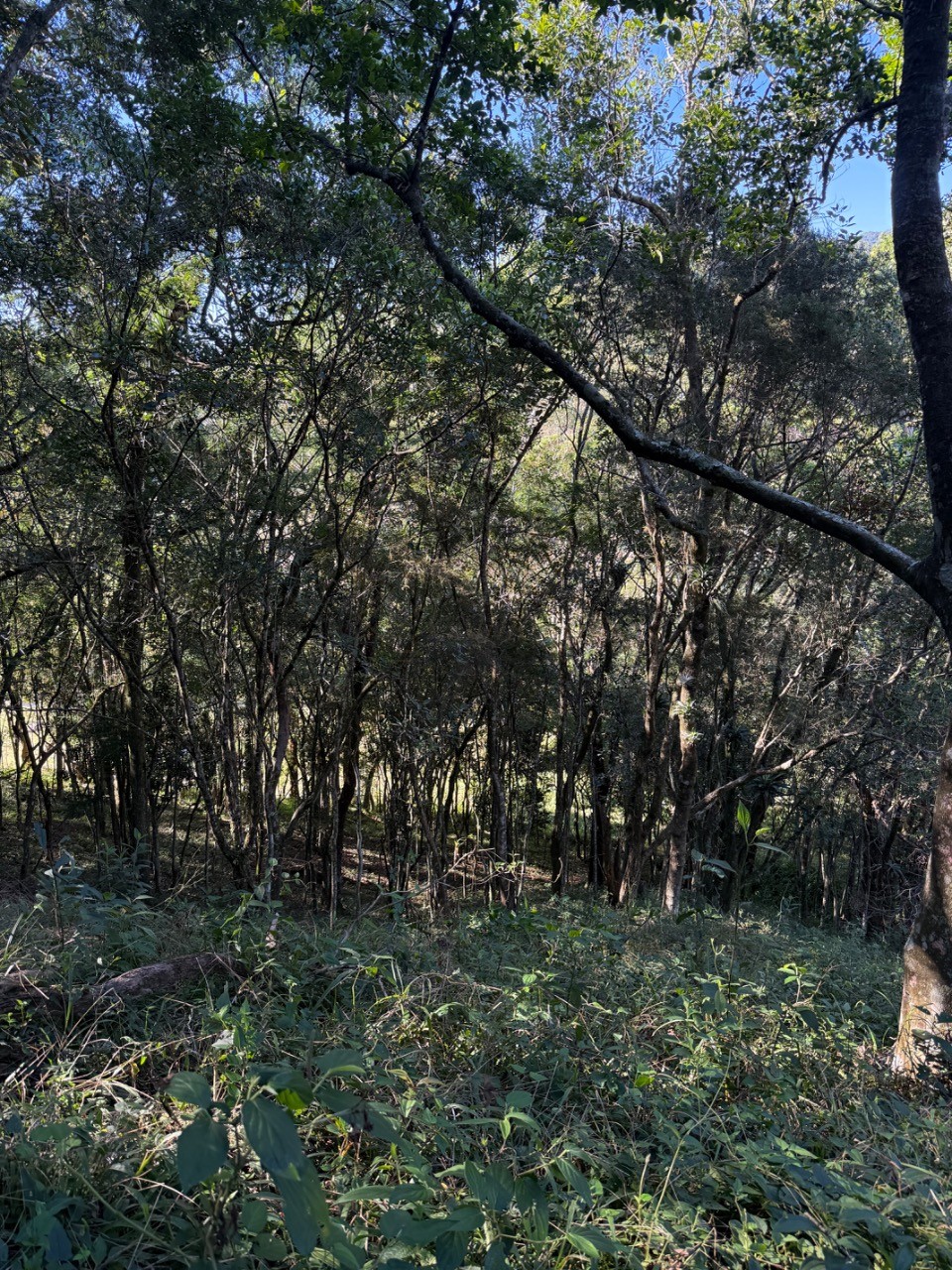 Terreno, 4400 m² - Foto 21
