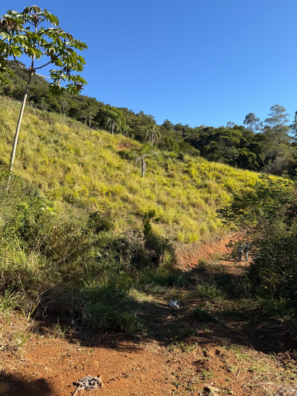 Fazenda - Foto 5