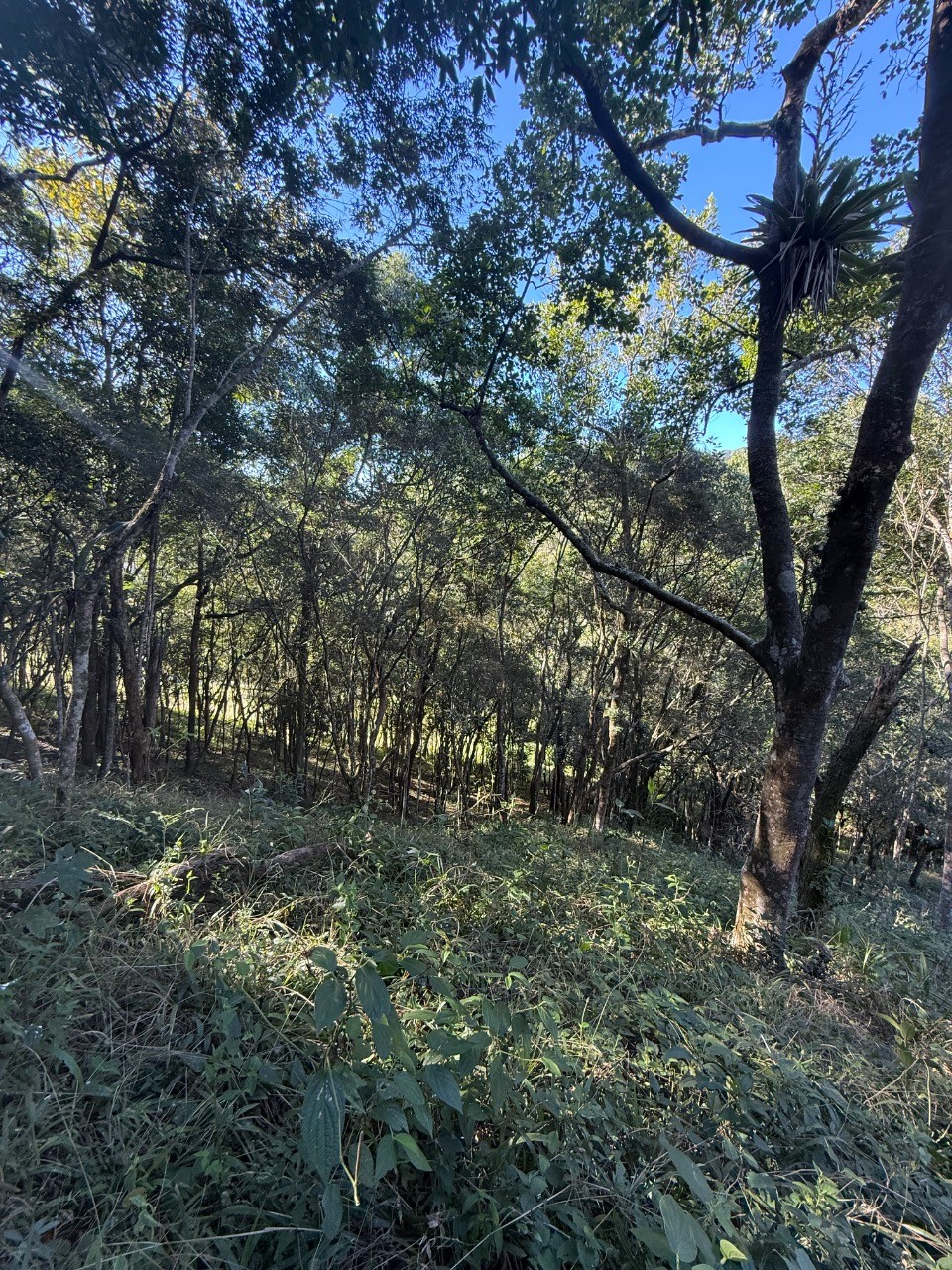 Terreno, 4400 m² - Foto 24
