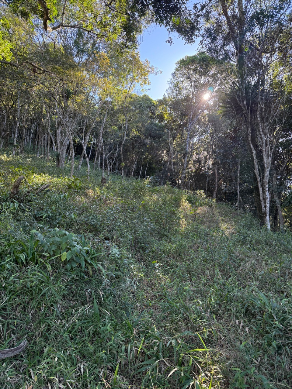 Terreno, 4400 m² - Foto 29