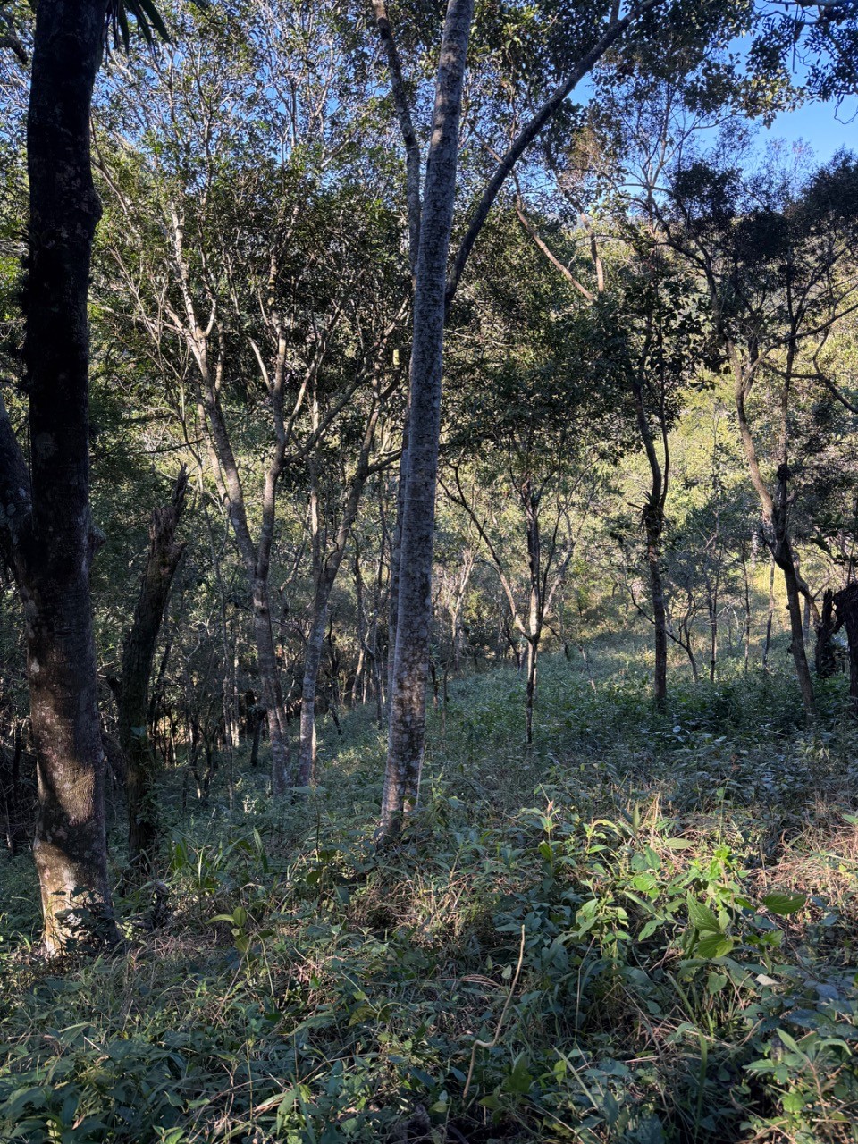 Terreno, 4400 m² - Foto 22