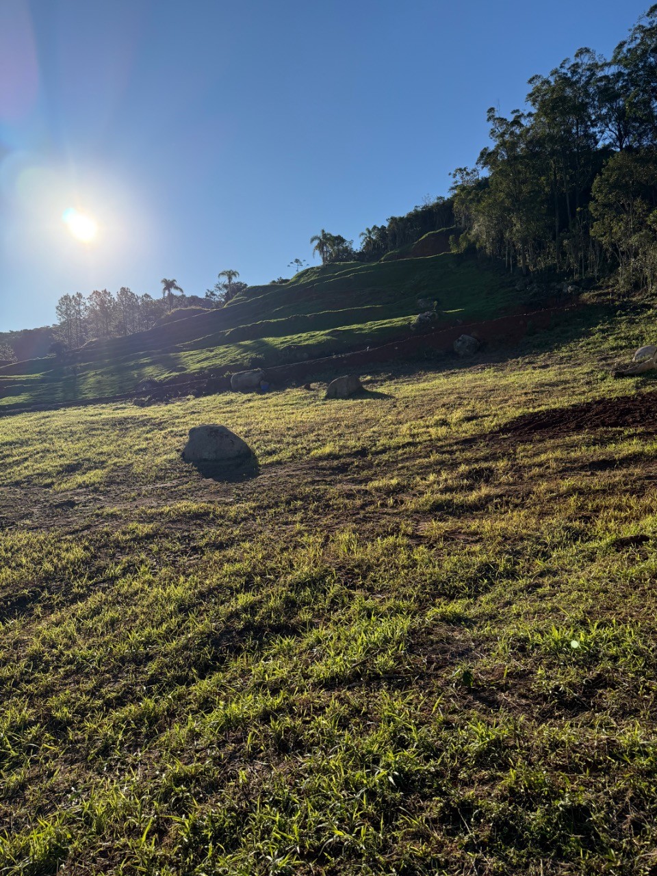 Terreno, 360 m² - Foto 4
