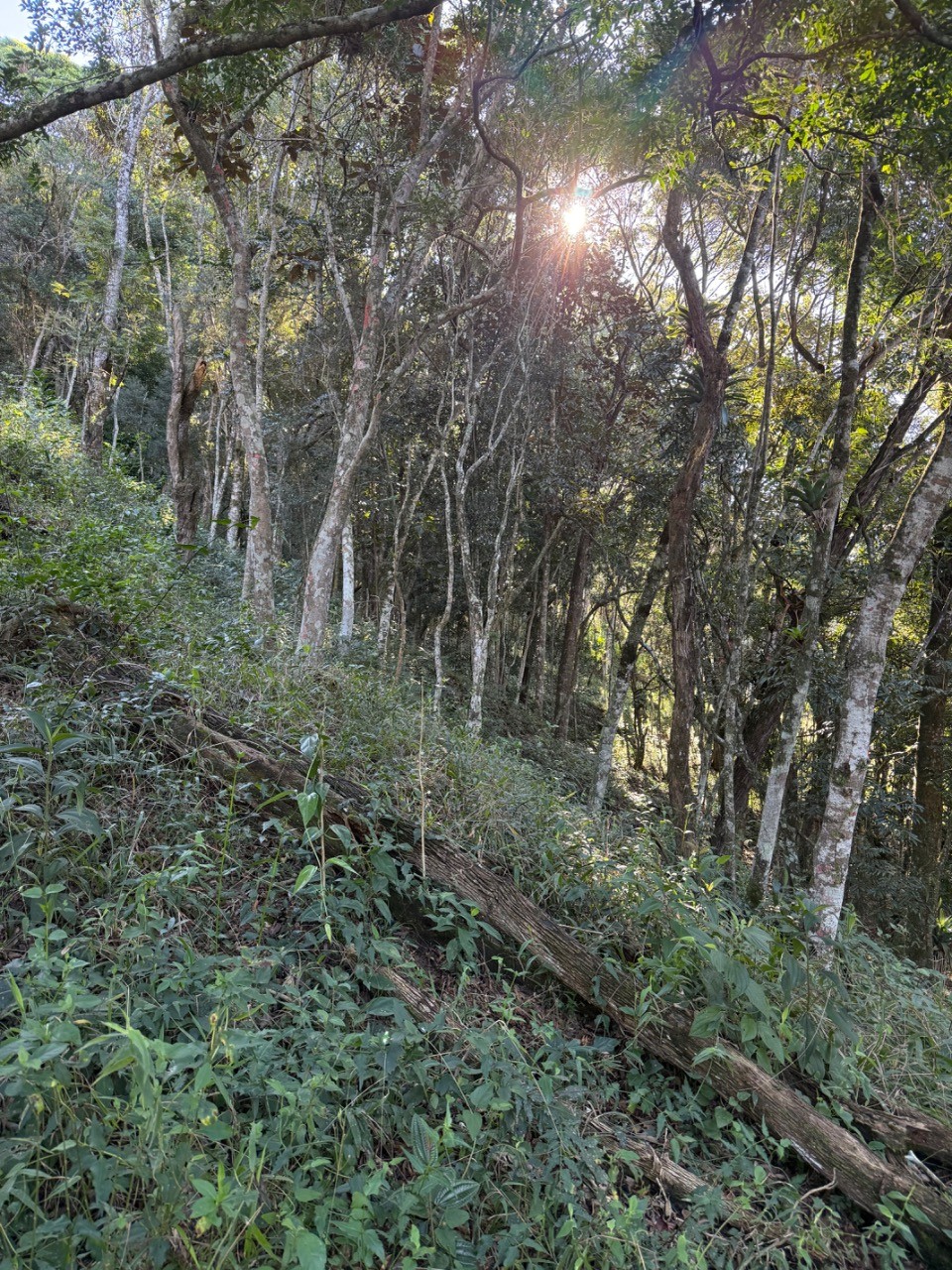 Terreno, 4400 m² - Foto 19