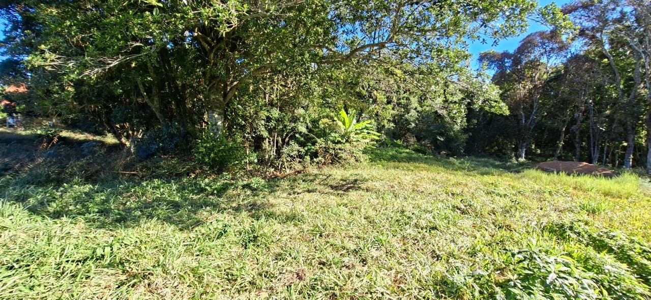 Terreno, 360 m² - Foto 3