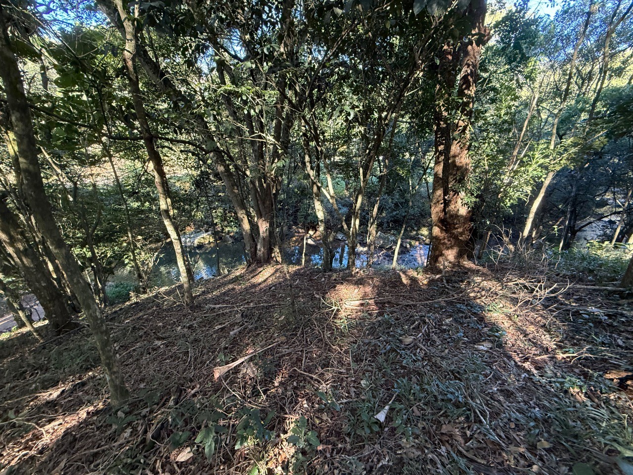 Terreno, 4400 m² - Foto 9