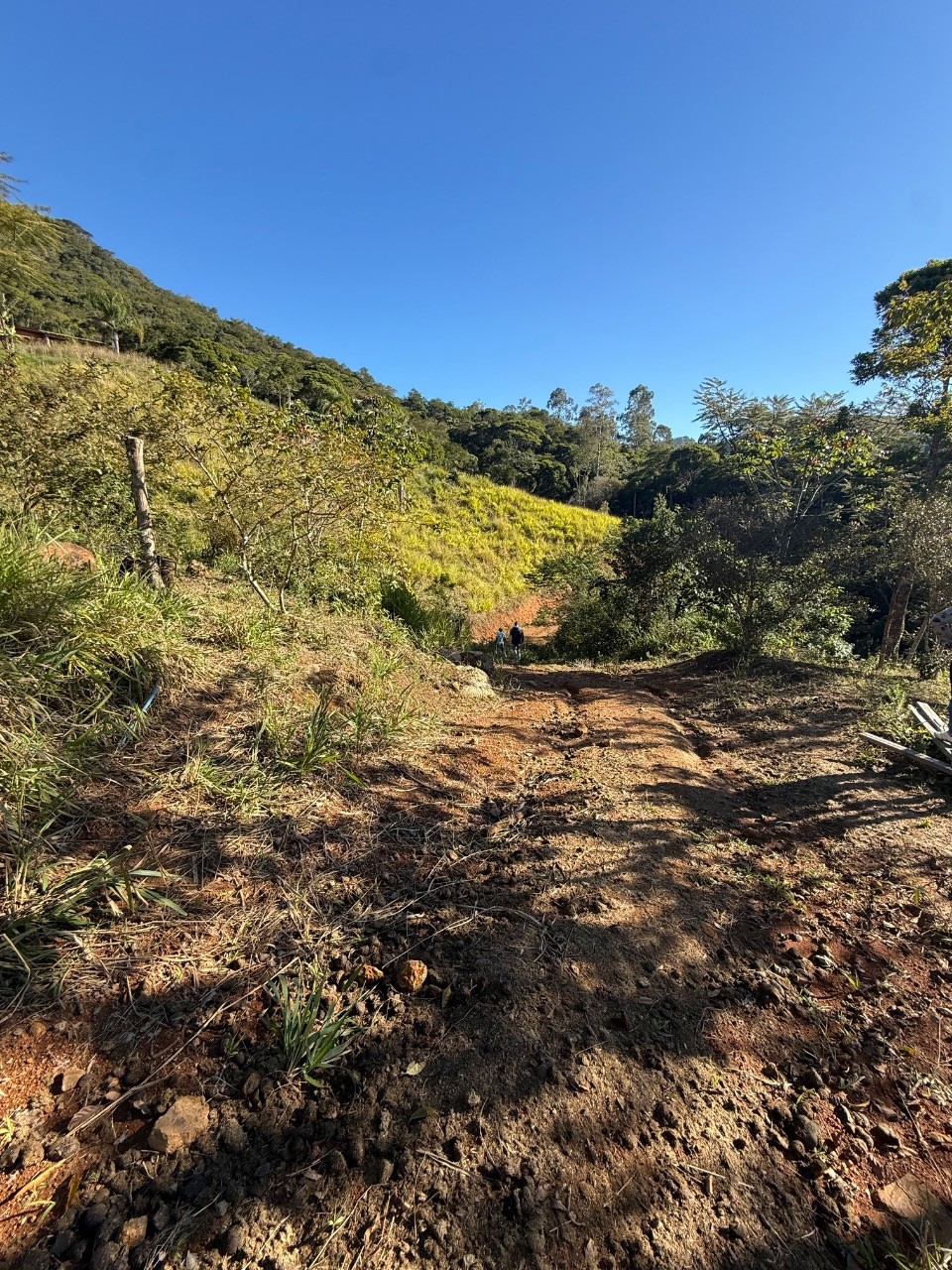 Fazenda - Foto 6