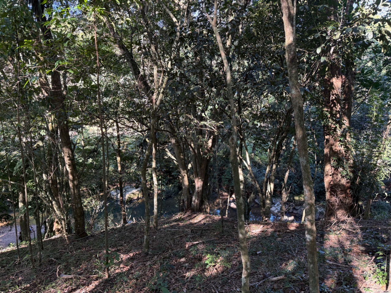 Terreno, 4400 m² - Foto 10