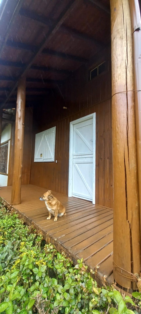 Casa, 2 quartos, 150 m² - Foto 18