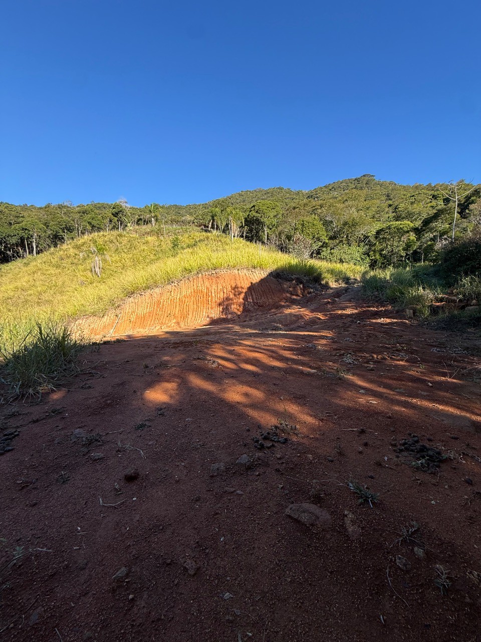 Fazenda - Foto 1