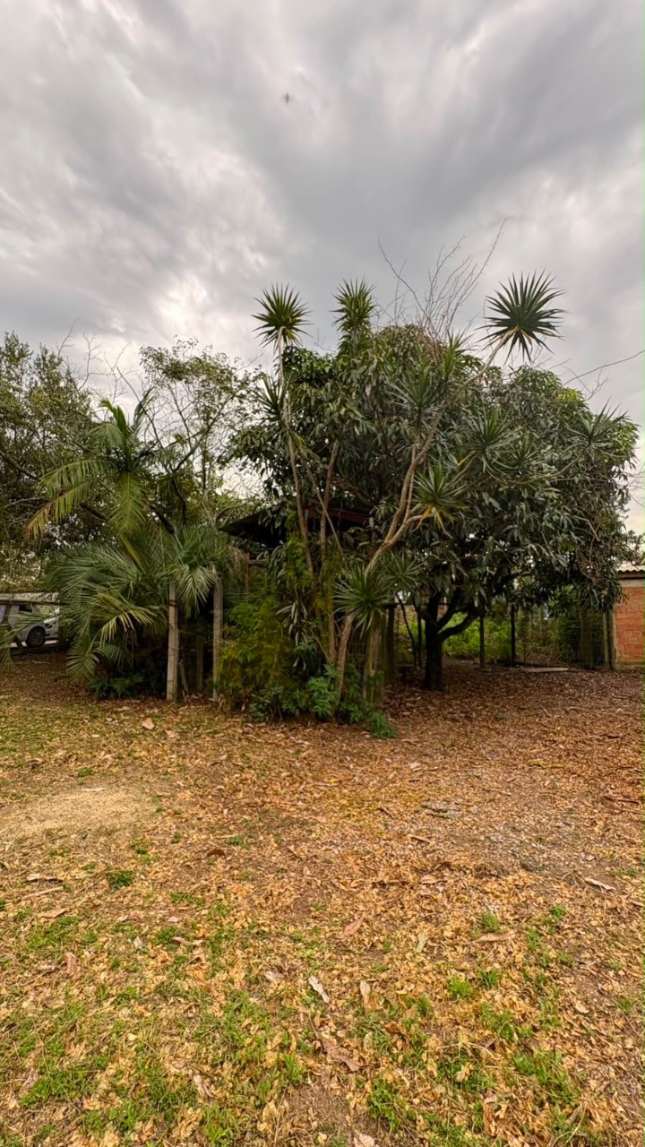Terreno, 715 m² - Foto 7