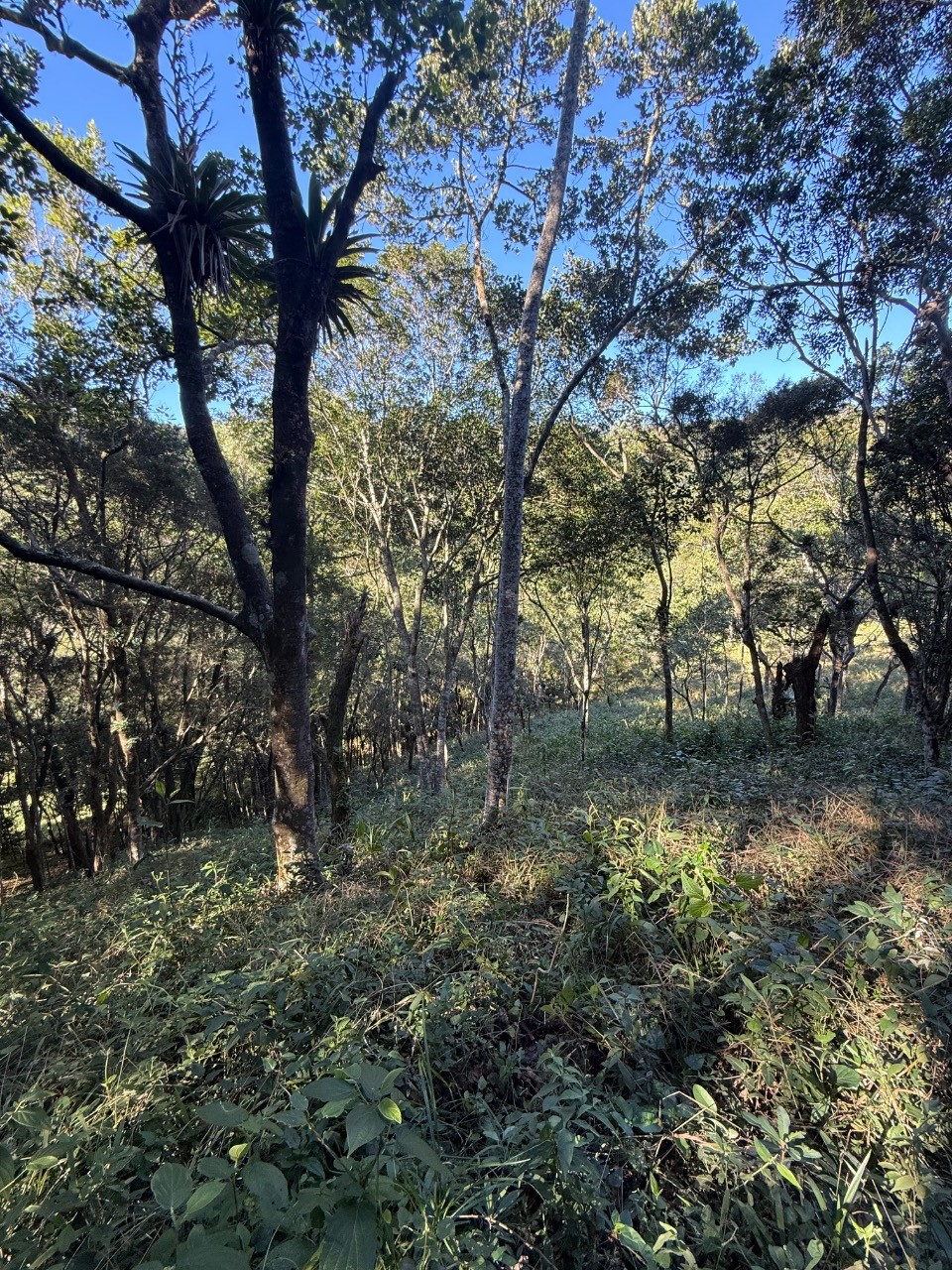 Terreno, 4400 m² - Foto 23