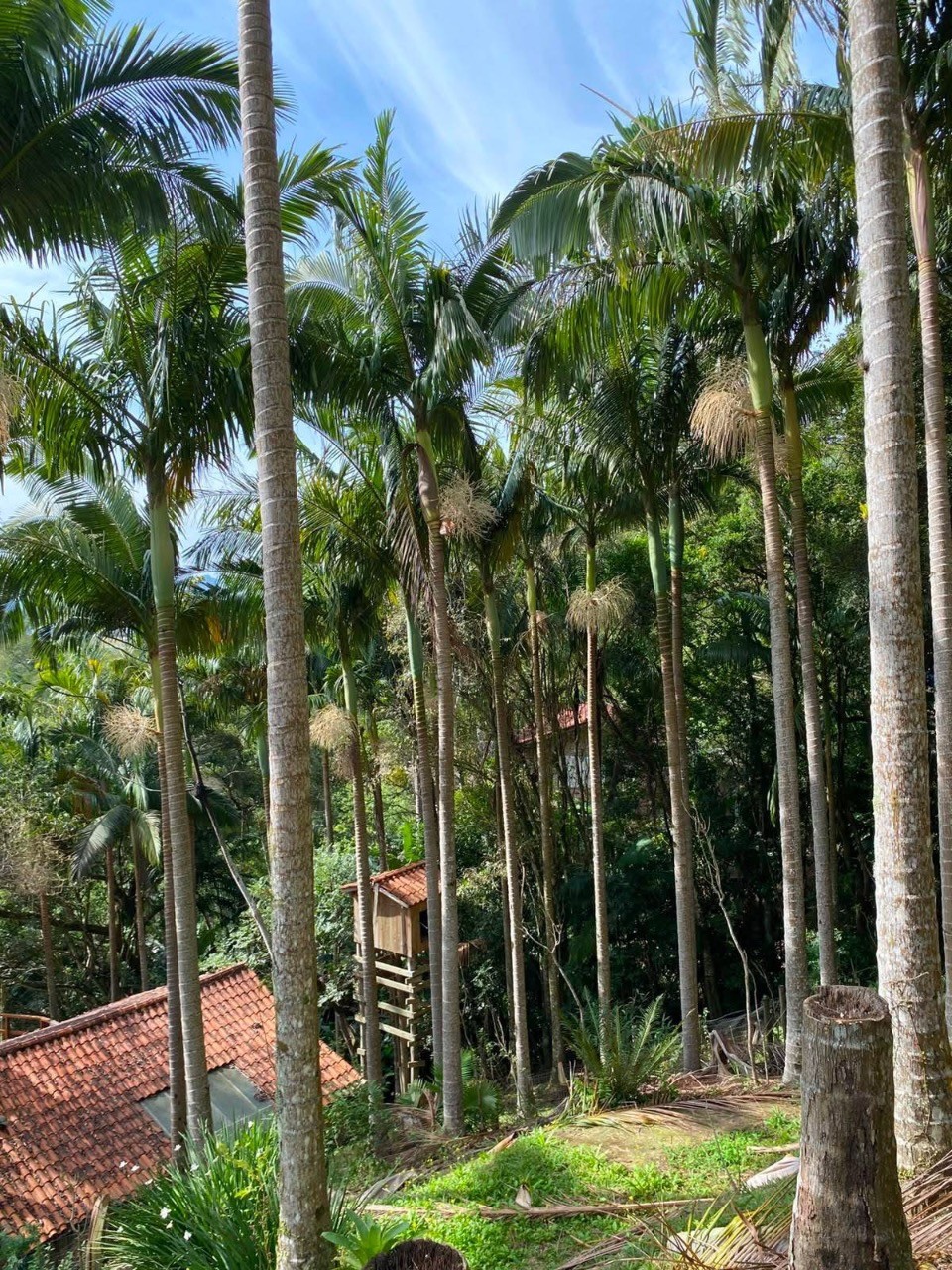 Casa com piscina e vista para lagoa
