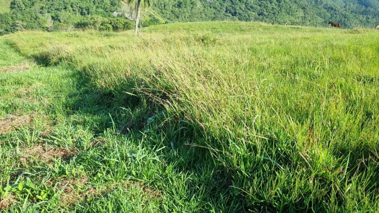 Terreno à venda em paulo lopes-sc, morro agudo: 18.977m² de 