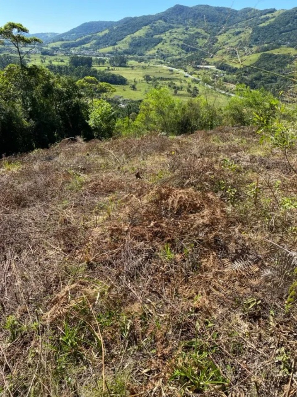 Terreno à venda em morro agudo - paulo lopes/sc: 1.500 m² de