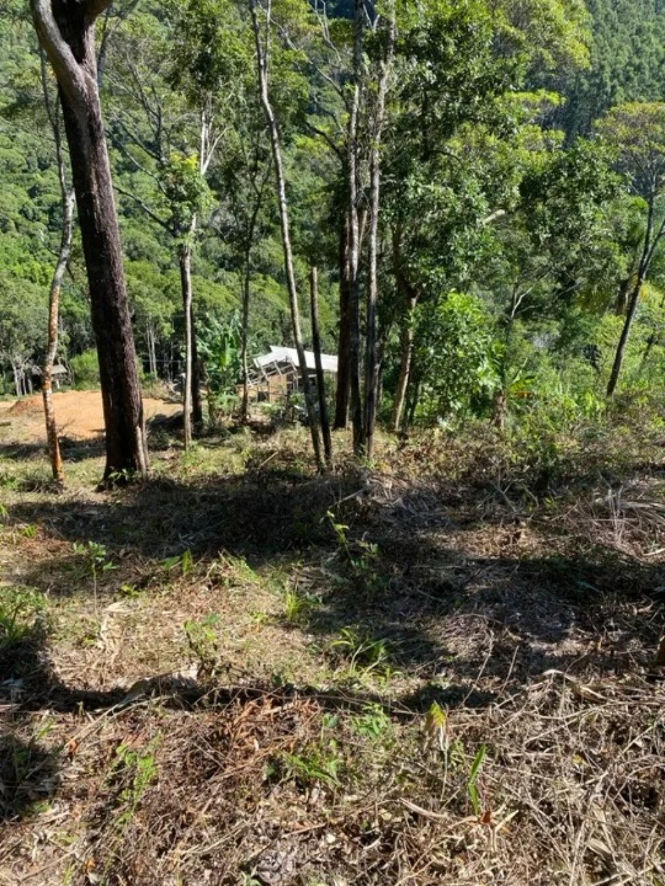 Terreno à venda em morro agudo - paulo lopes/sc: 1.500 m² de