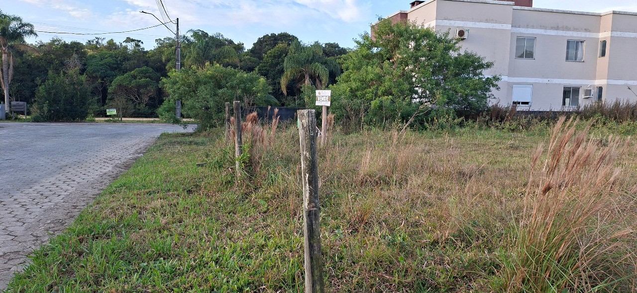 Terreno, 384 m² - Foto 5