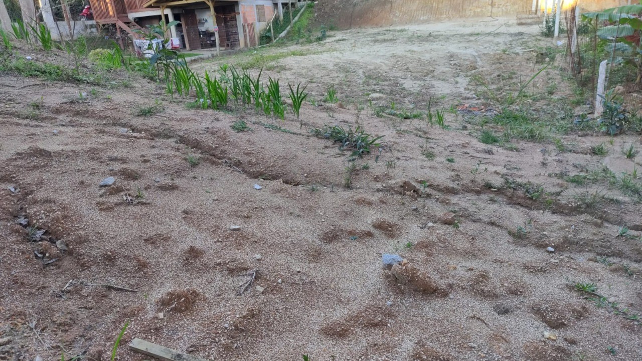 Terreno à venda no bairro sorocaba em paulo lopes/sc: oportu