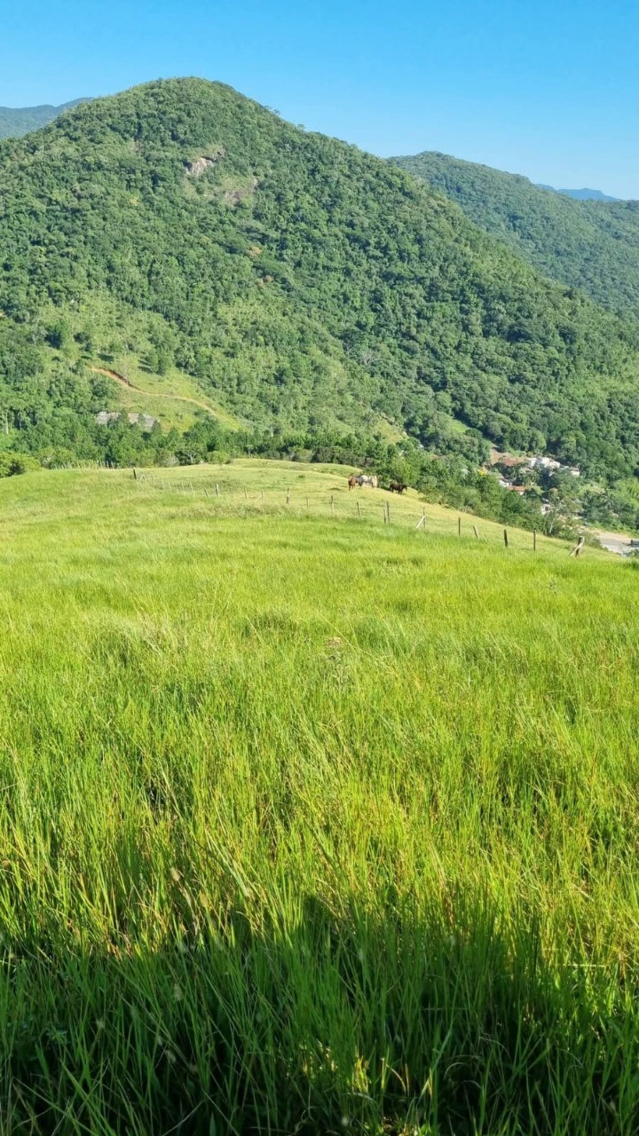 Terreno à venda em paulo lopes-sc, morro agudo: 18.977m² de 