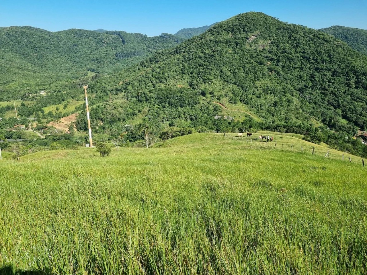 Terreno à venda em paulo lopes-sc, morro agudo: 18.977m² de 