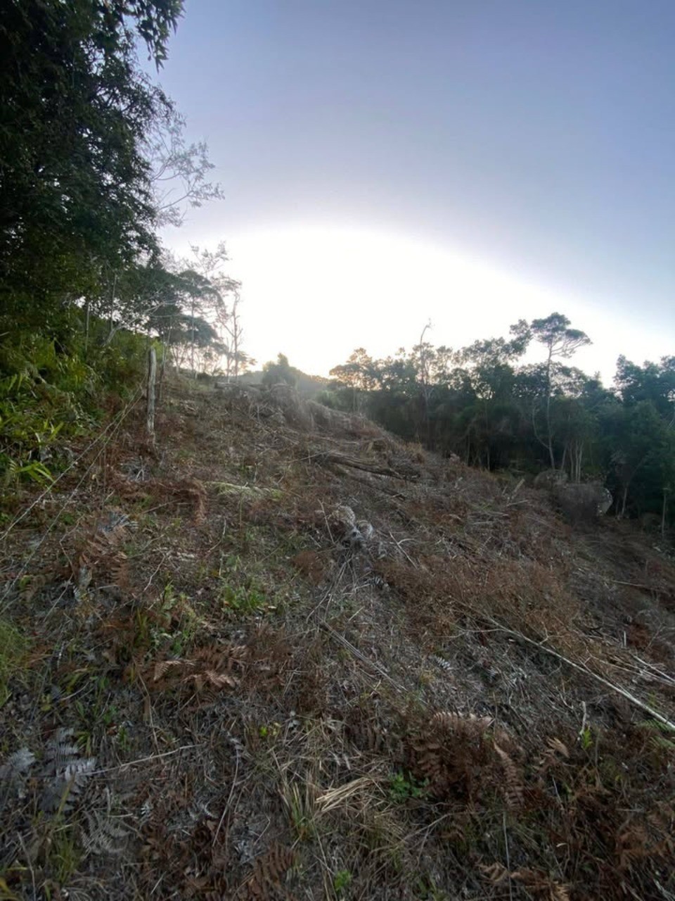 Terreno à venda em morro agudo - paulo lopes/sc: 1.500 m² de
