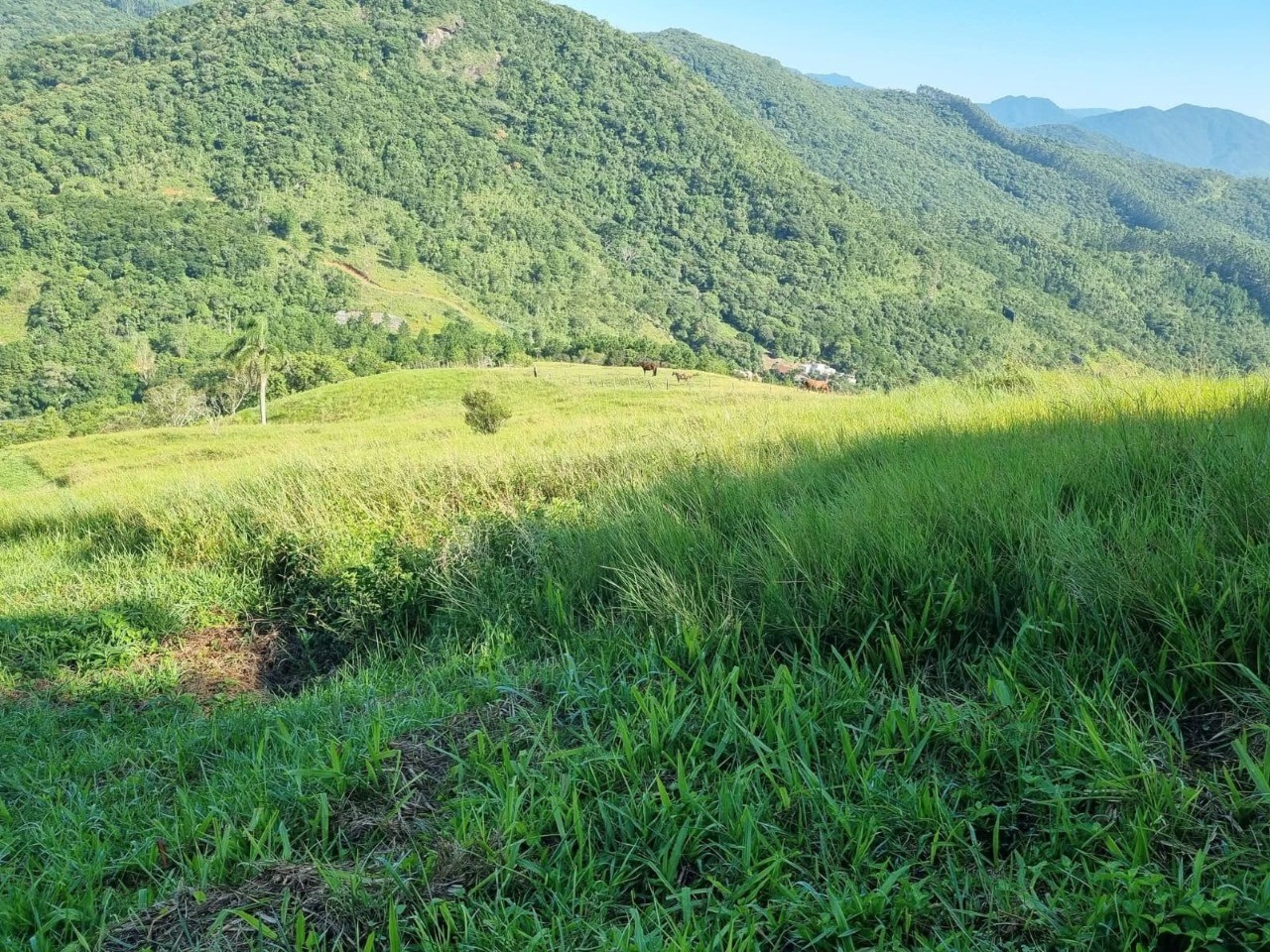 Terreno à venda em paulo lopes-sc, morro agudo: 18.977m² de 