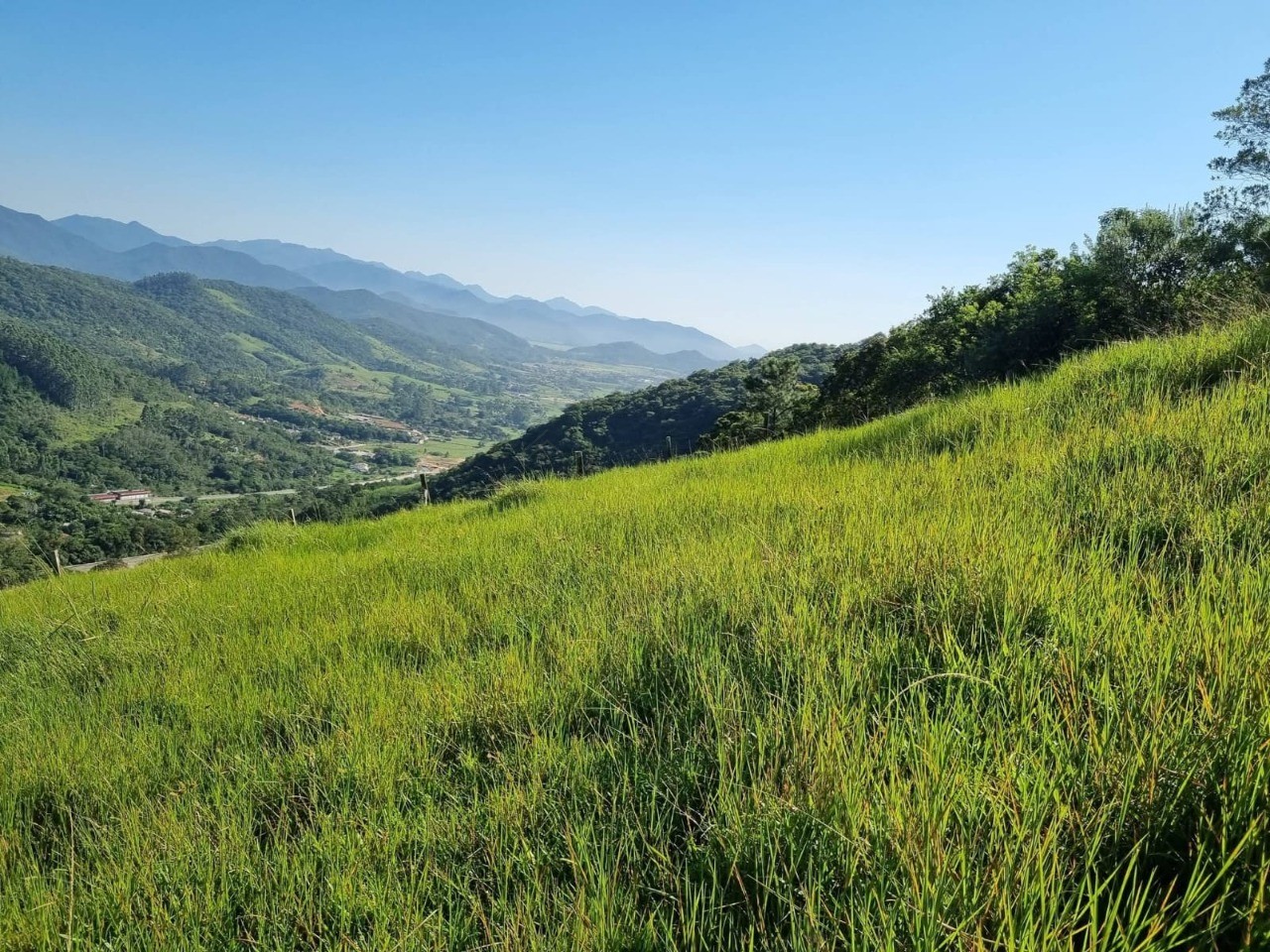 Terreno à venda em paulo lopes-sc, morro agudo: 18.977m² de 