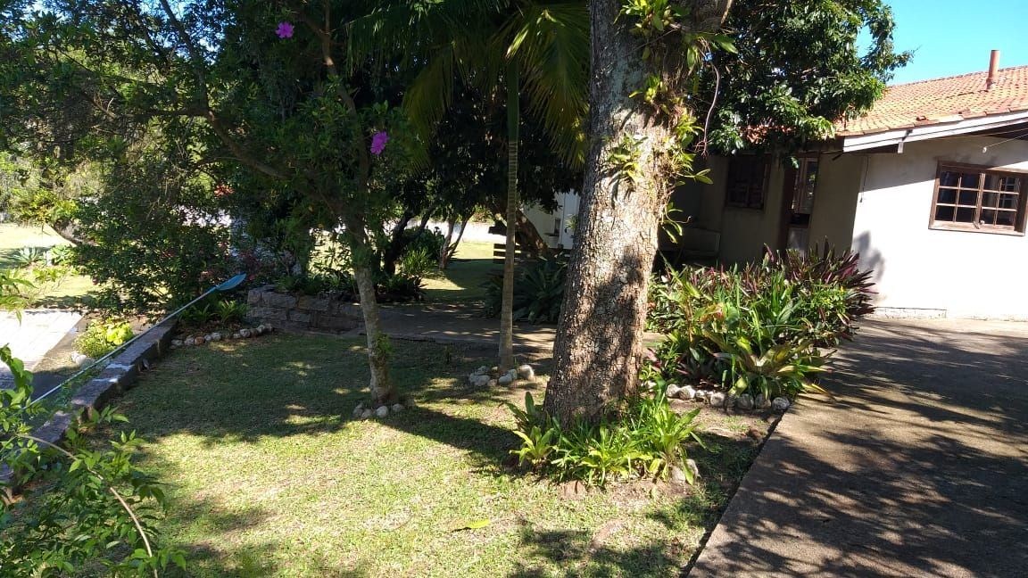Sítio 6.8 Hectares à venda Povoado Sítio Novo, ImarUÍ - foto 31