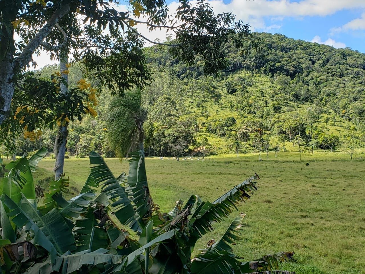 CASA RESIDENCIAL em Paulo Lopes - SC, Centro - foto 19