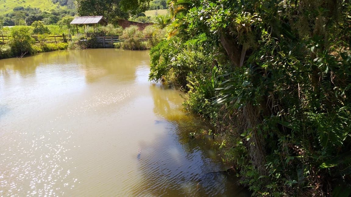 Sítio 6.8 Hectares à venda Povoado Sítio Novo, ImarUÍ - foto 27