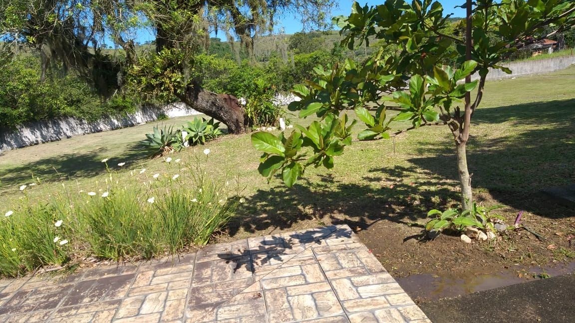 Sítio 6.8 Hectares à venda Povoado Sítio Novo, ImarUÍ - foto 30