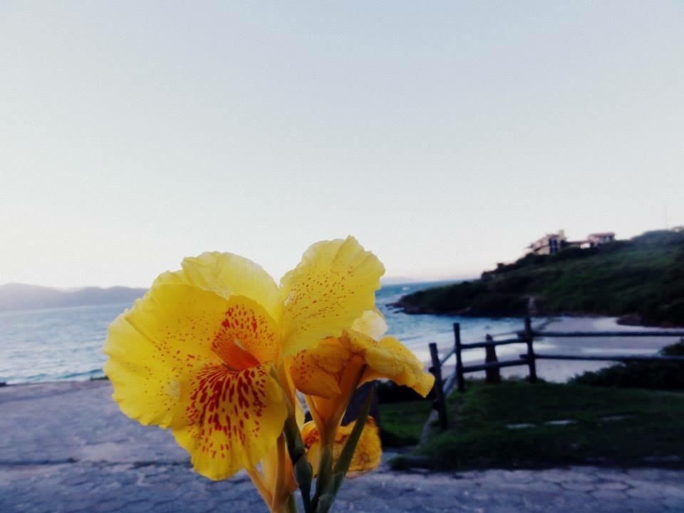 Casa na Praia da Vigia em Garopaba-SC - foto 29