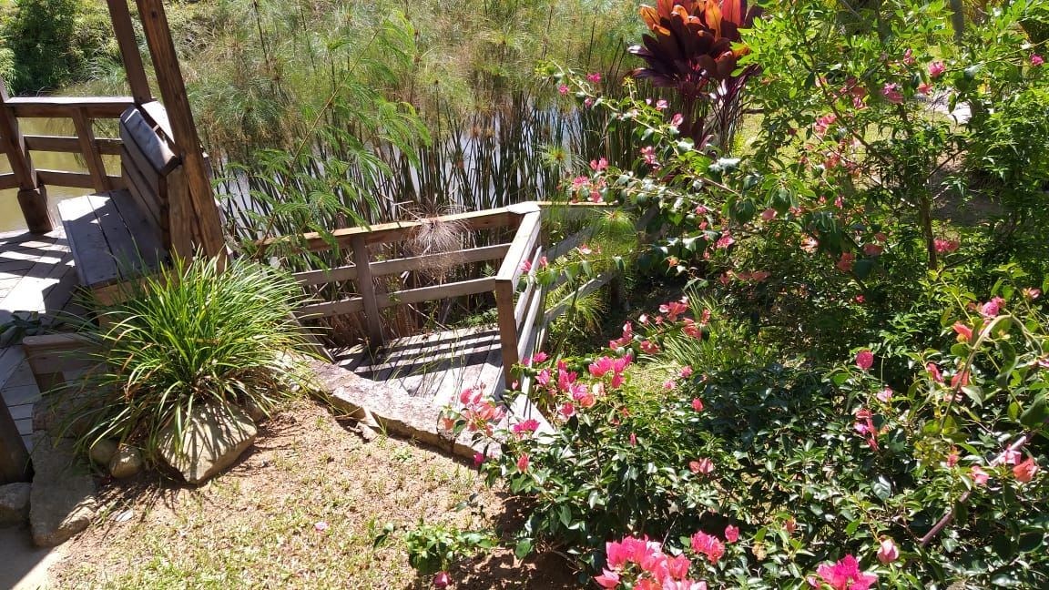 Sítio 6.8 Hectares à venda Povoado Sítio Novo, ImarUÍ - foto 20