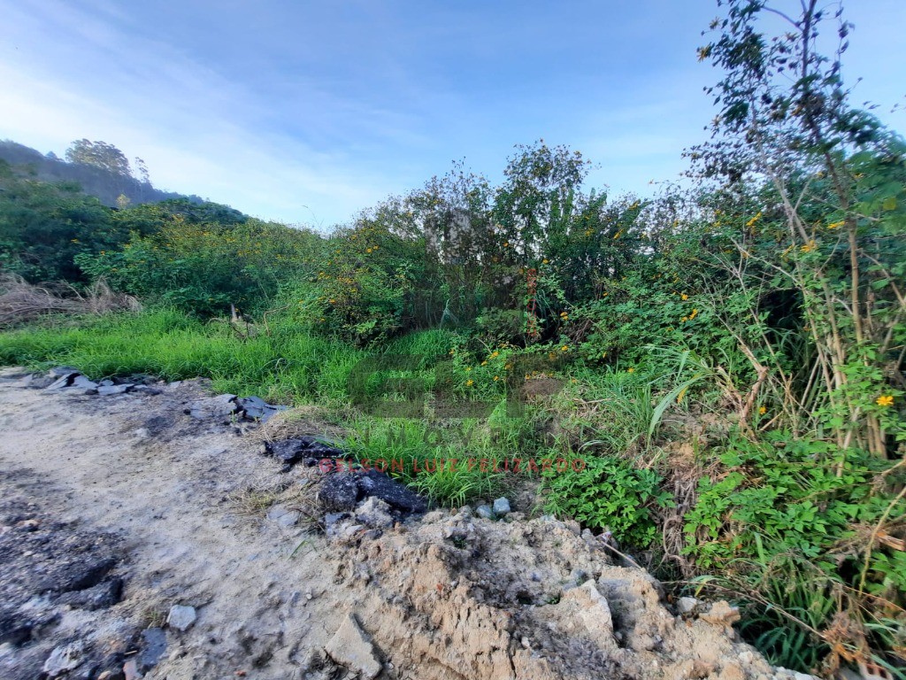 Terreno bem Localizado na cidade de Balneário Camboriú/SC no Estaleirinho, com 1.213 m². Localização privilegiada. Terreno Grande. Perto do Mar