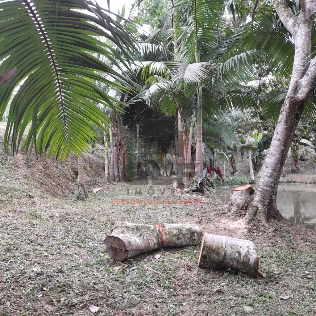 Chácara a venda na cidade de canelinha/sc no bairro moura, c