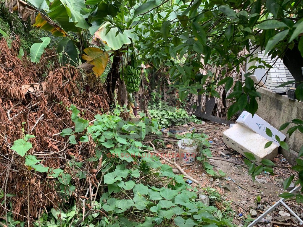 Chácara a venda na cidade de Itapema/SC no bairro Ilhota, com 800 m², Casa com 2 Suítes e 3 Vagas de garagem. Lazer com pés de frutas