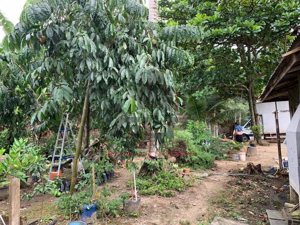 Chácara a venda na cidade de Itapema/SC no bairro Ilhota, com 800 m², Casa com 2 Suítes e 3 Vagas de garagem. Lazer com pés de frutas
