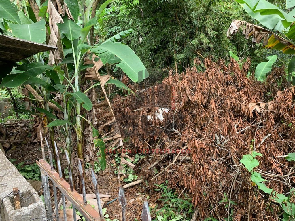Chácara a venda na cidade de Itapema/SC no bairro Ilhota, com 800 m², Casa com 2 Suítes e 3 Vagas de garagem. Lazer com pés de frutas