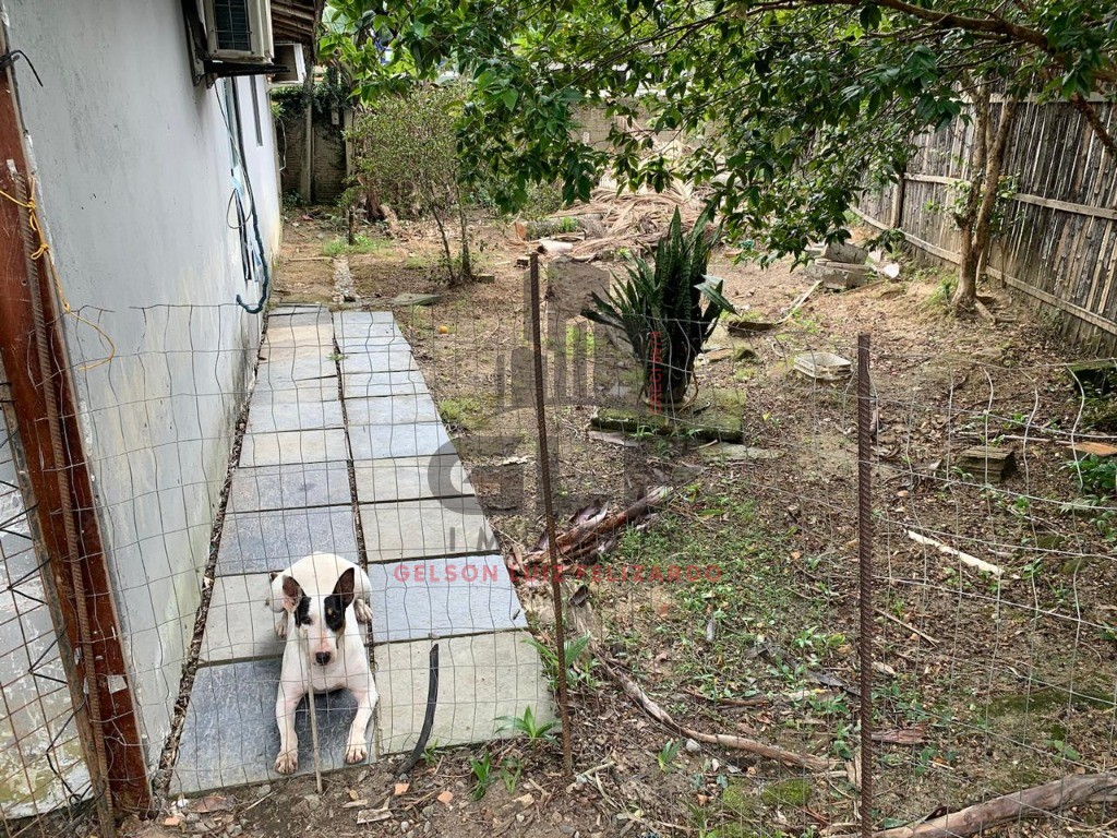 Chácara a venda na cidade de itapema/sc no bairro ilhota, co - foto 14