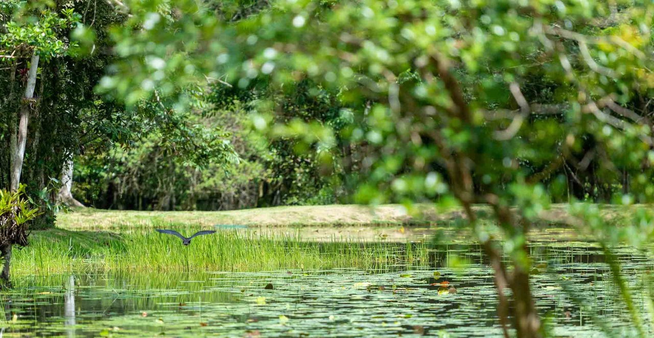 Terreno a venda bem localizado em Camboriú/SC com 1.046,68m² de área privativa