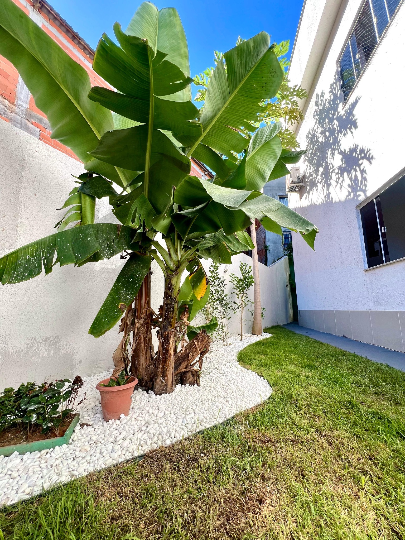 Casa, 3 quartos, 250 m² - Foto 10