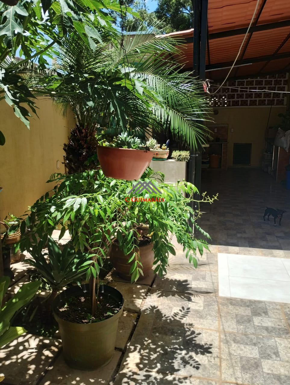 Apartamento, 3 quartos, 82 m² - Foto 22