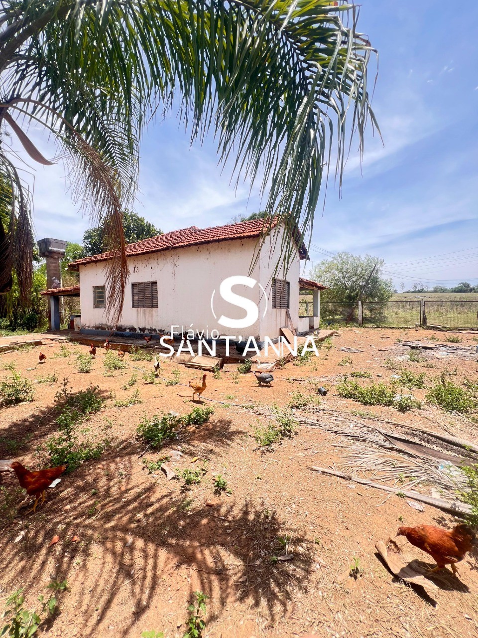 Chácara, 2 quartos, 2 m² - Foto 6