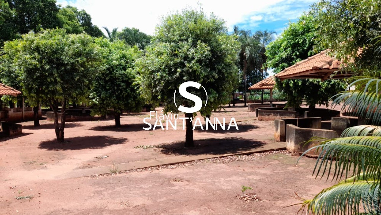 Chácara, 1 quarto, 6000 m² - Foto 4