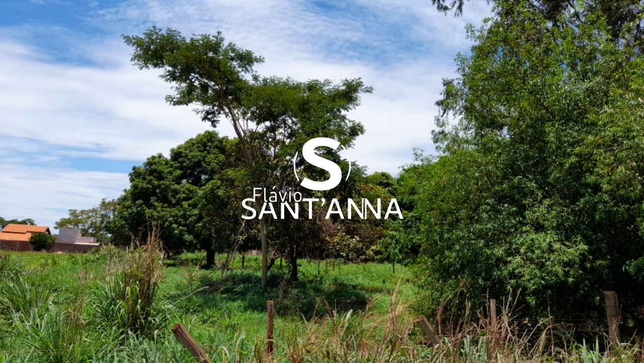 Terreno, 2 hectares - Foto 4