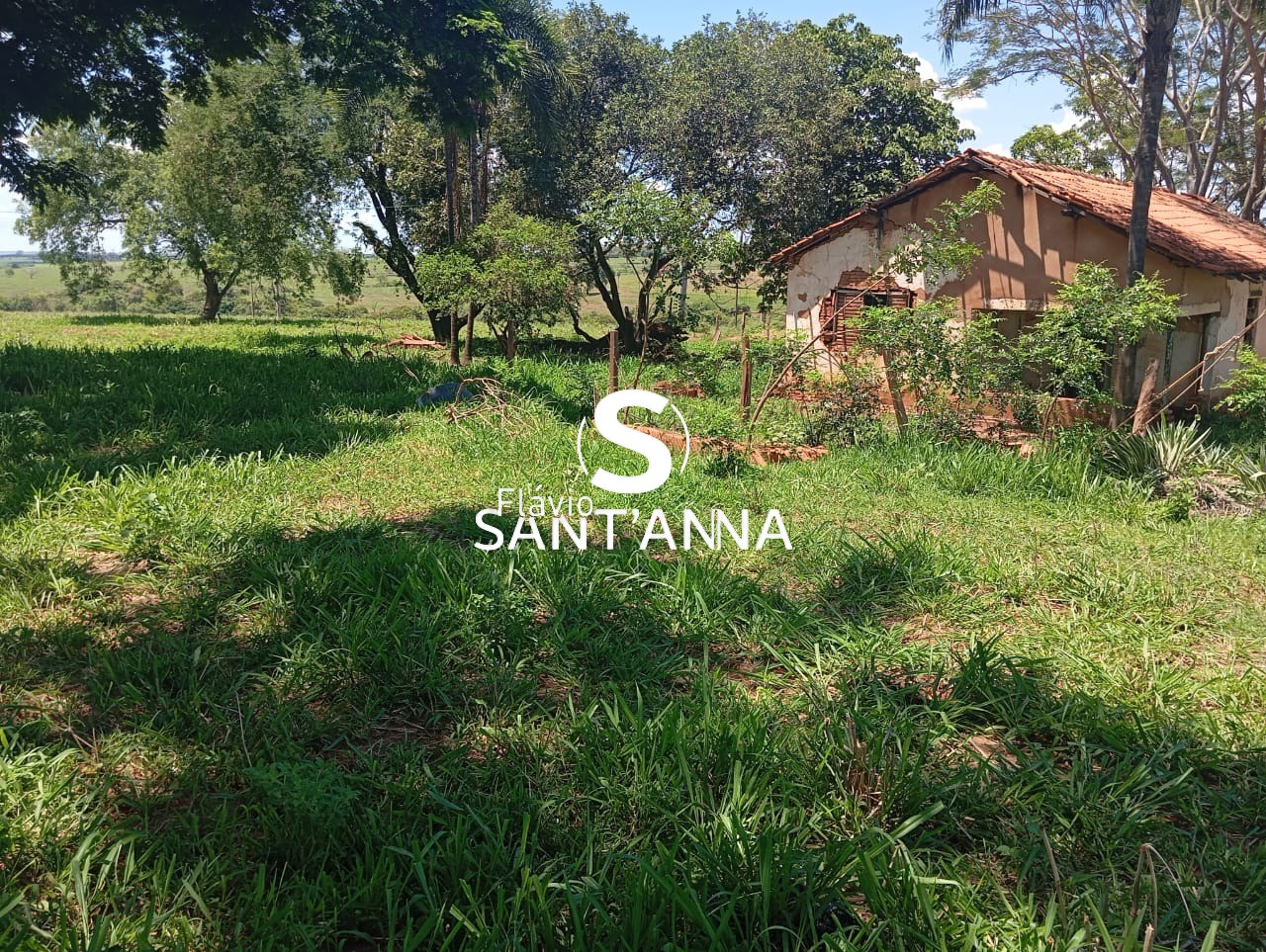 Sítio, 3 quartos, 4 m² - Foto 16