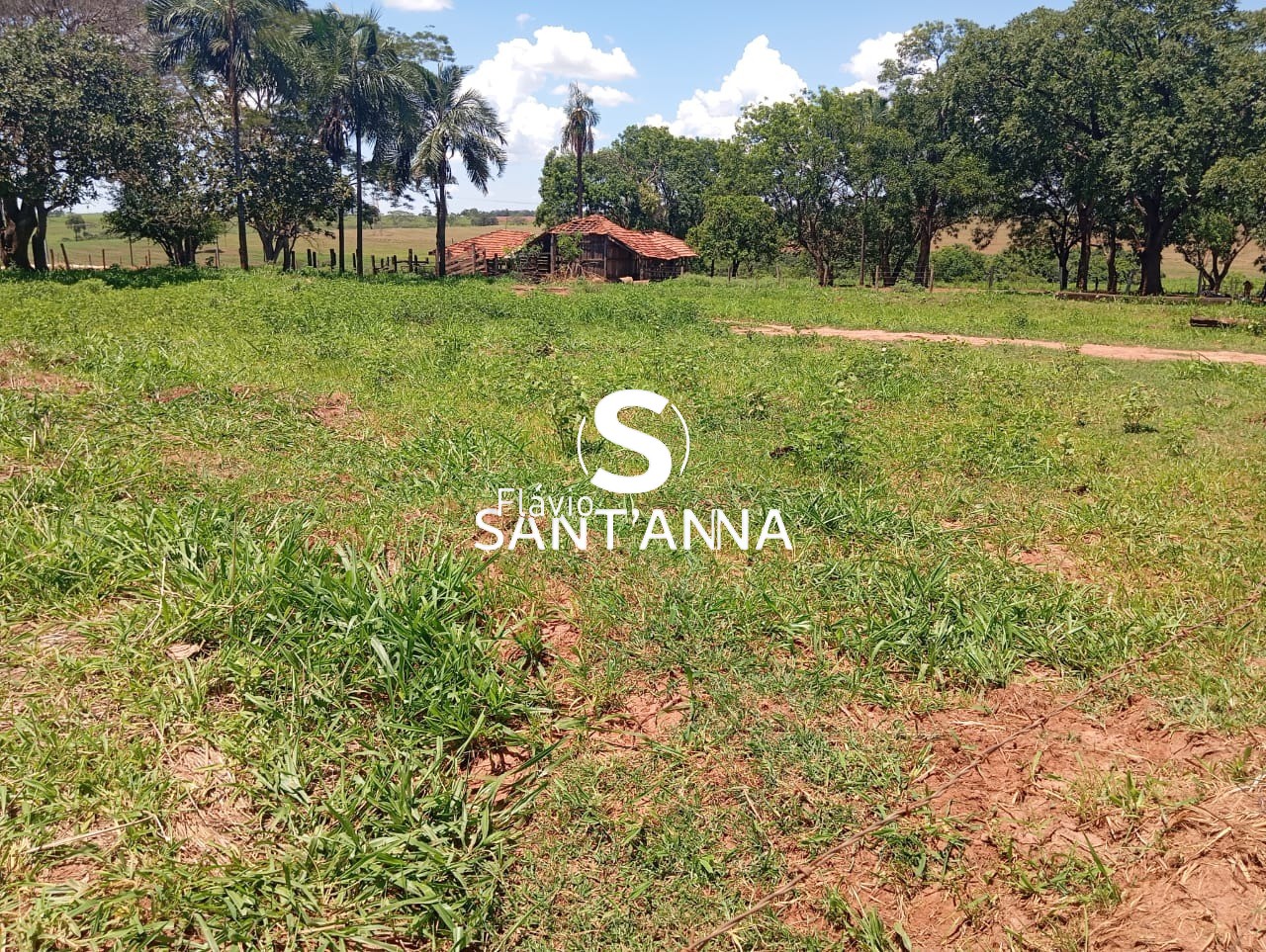 Sítio, 3 quartos, 4 m² - Foto 4